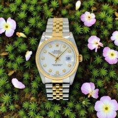 Datejust Men's 36 16233