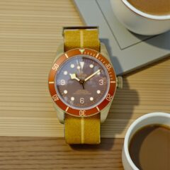Tudor Black Bay Bronze 79250BM