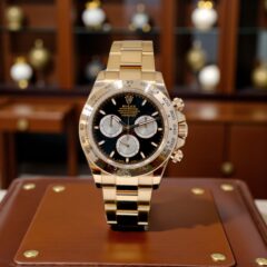 Daytona Everose Gold 126505