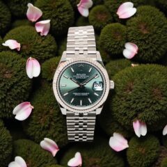 Rolex Datejust 31 Mint Green 278274
