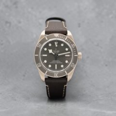 Tudor Black Bay 58 79010SG