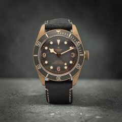 Tudor Black Bay Bronze 79250BA